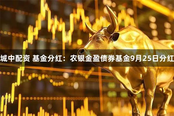 城中配资 基金分红:农银金盈债券基金9月25日分红