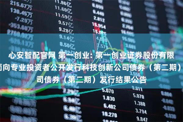 心安智配官网 第一创业: 第一创业证券股份有限公司2025年面向专业投资者公开发行科技创新公司债券（第二期）发行结果公告