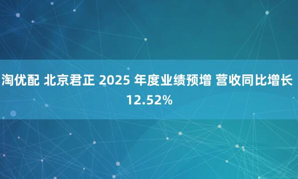 淘优配 北京君正 2025 年度业绩预增 营收同比增长 12.52%