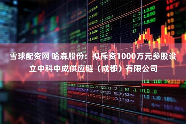 雪球配资网 哈森股份：拟斥资1000万元参股设立中科中成供应链（成都）有限公司